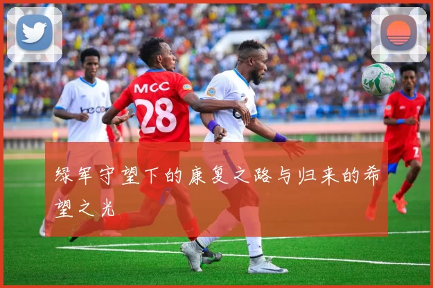 绿军守望下的康复之路与归来的希望之光